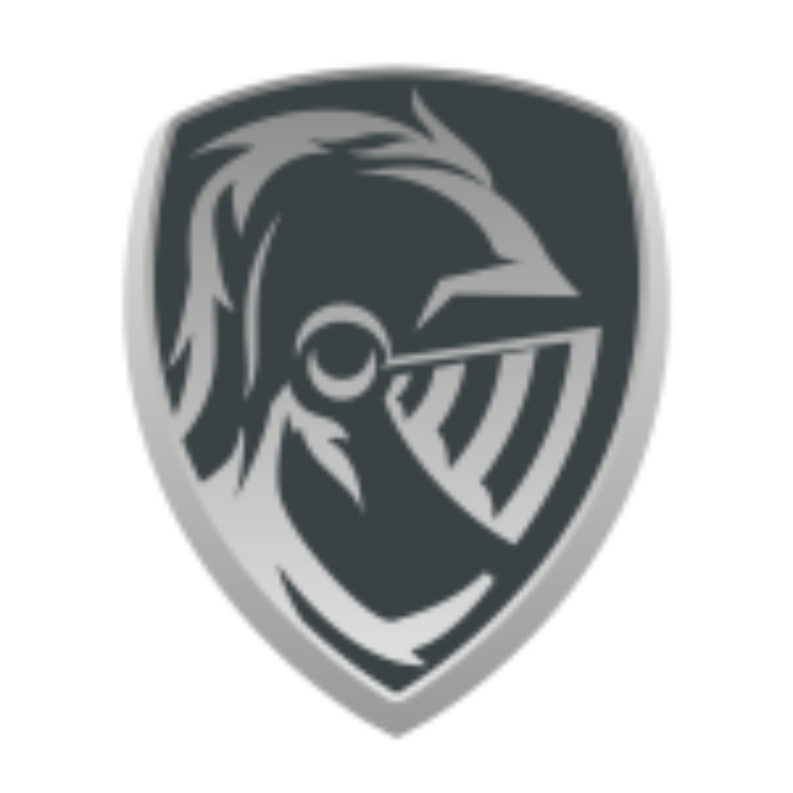 Elite Sports Academy